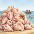 Maya and the Great Conch Shell Mystery — the hermit-crab shell economy. Kids mystery book ages 5–9 — Mangrove Moon Books